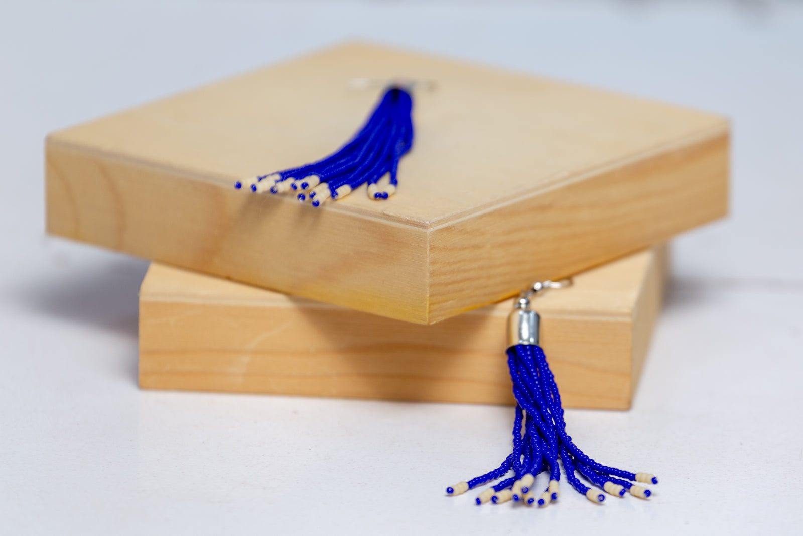 Tassel Earrings - Regal